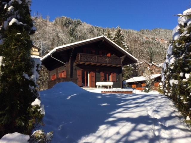 Chalet Brimborion 尚佩里 外观 照片